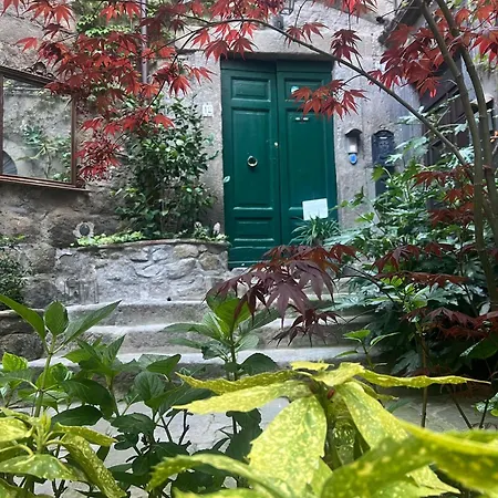 Papalepapale Viterbo