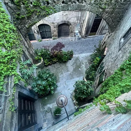 Papalepapale فِتيربو