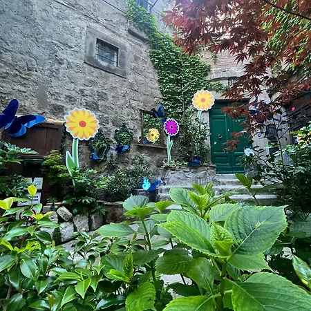 Papalepapale 3* فِتيربو