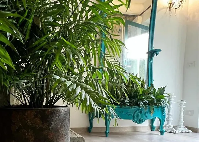 Papalepapale B&B 비테르보