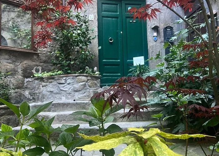 Papalepapale Viterbo