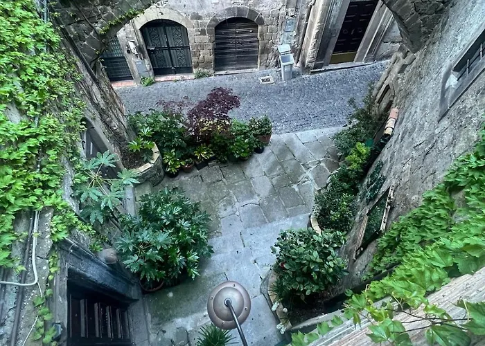 Papalepapale Viterbo