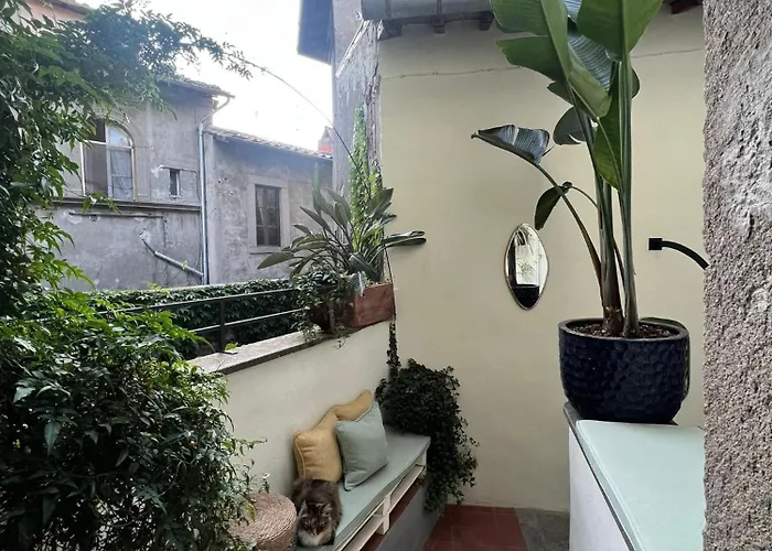 B&B Papalepapale 비테르보