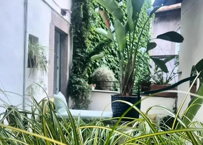 Bed & Breakfast Papalepapale